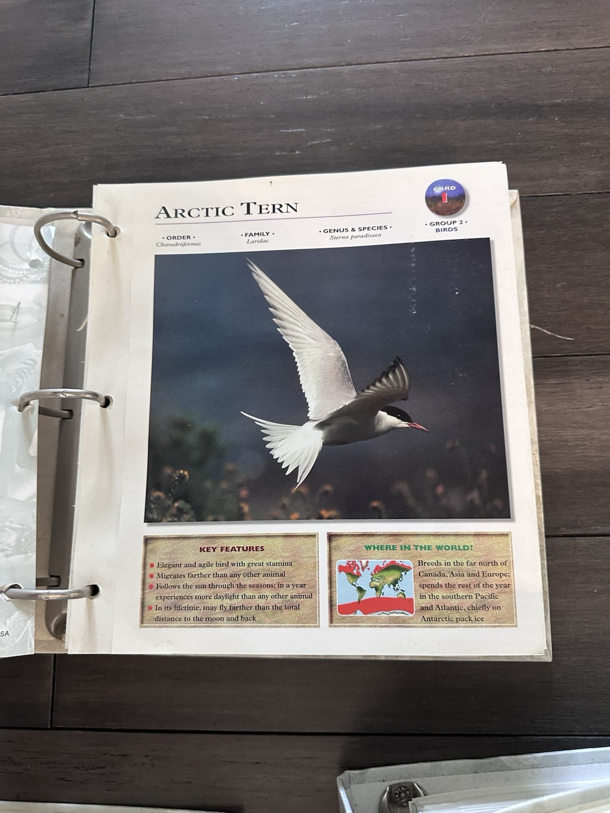 Wildlife Explorer Binder Groups 1-8 — 600+ Cards & Tabs Educational Homeschool