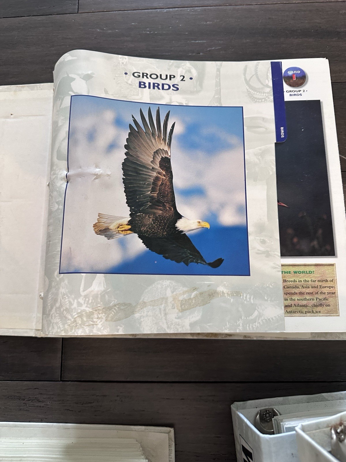 Wildlife Explorer Binder Groups 1-8 — 600+ Cards & Tabs Educational Homeschool