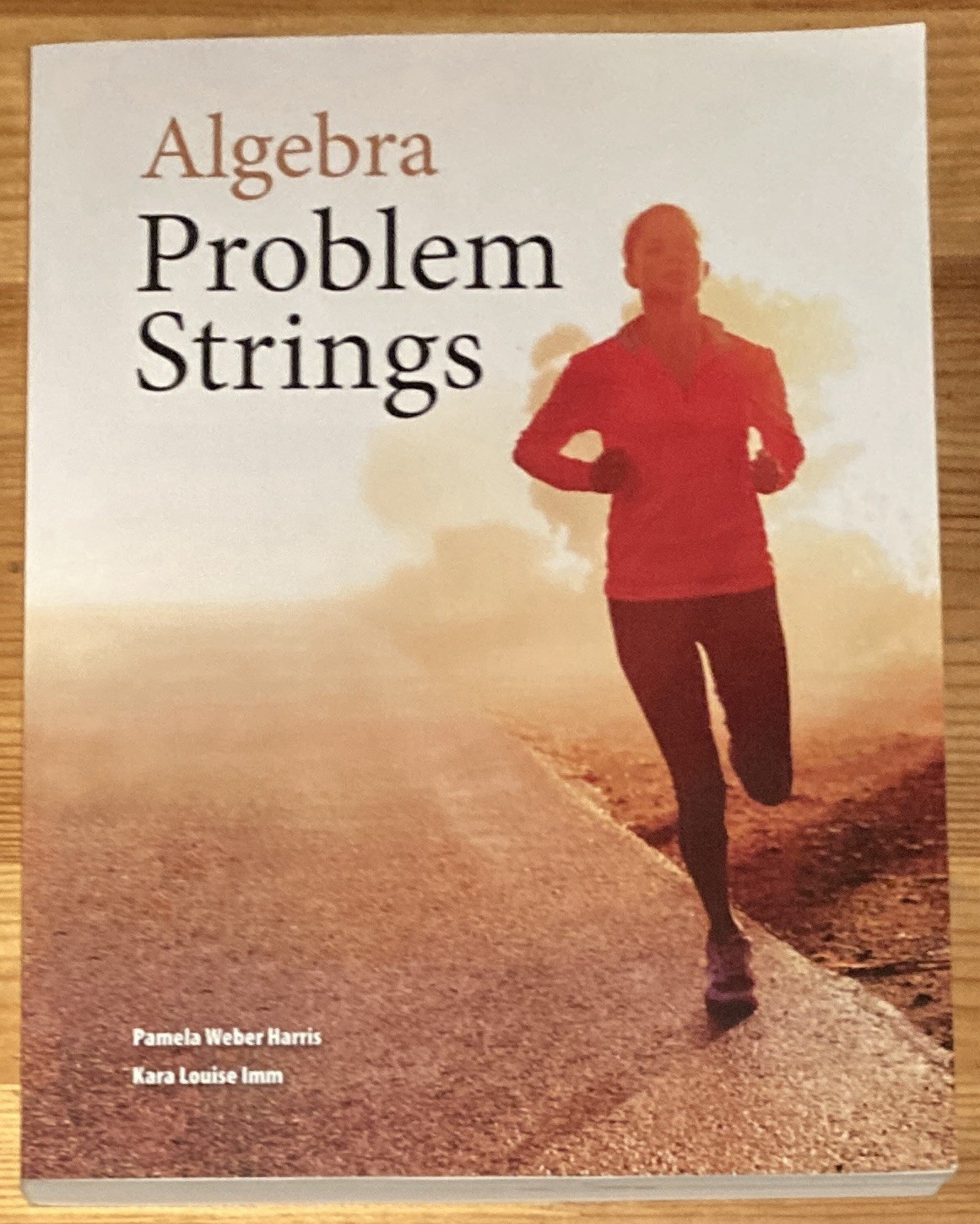 Algebra Problem Strings Pamela Weber Harris Oversize Paperback