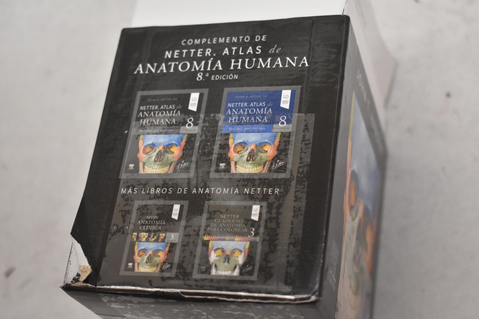 Elsevier Netter Anatomia Flashcards Black Study Guide Human Anatomy Spanish