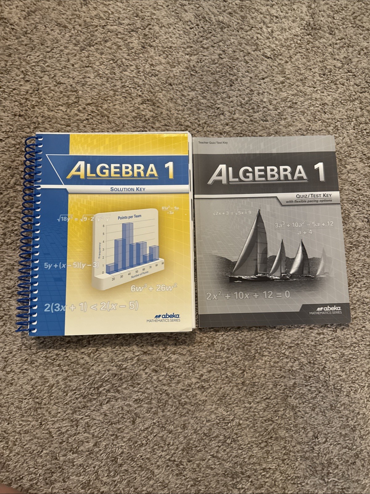 Abeka Algebra 1 Teacher Solution Key & Quiz/Test key
