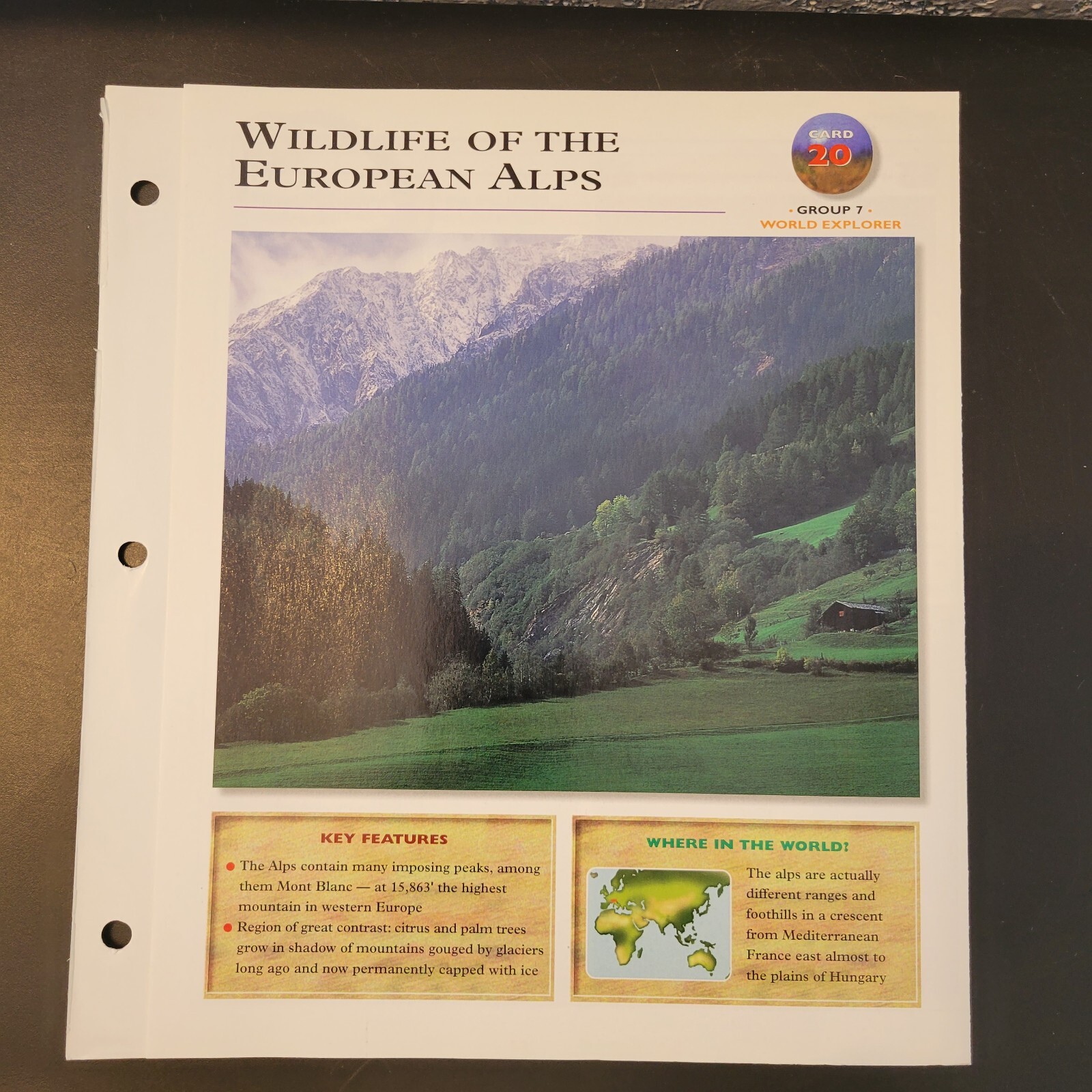 Wildlife Explorer Card 20 Group 7 World Explorer Wildlife Of The European Alps