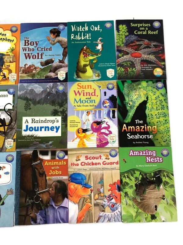 FOUNTAS & PINNELL Shared Reading Grade 2 Set of 30 Books Readers Homeschool