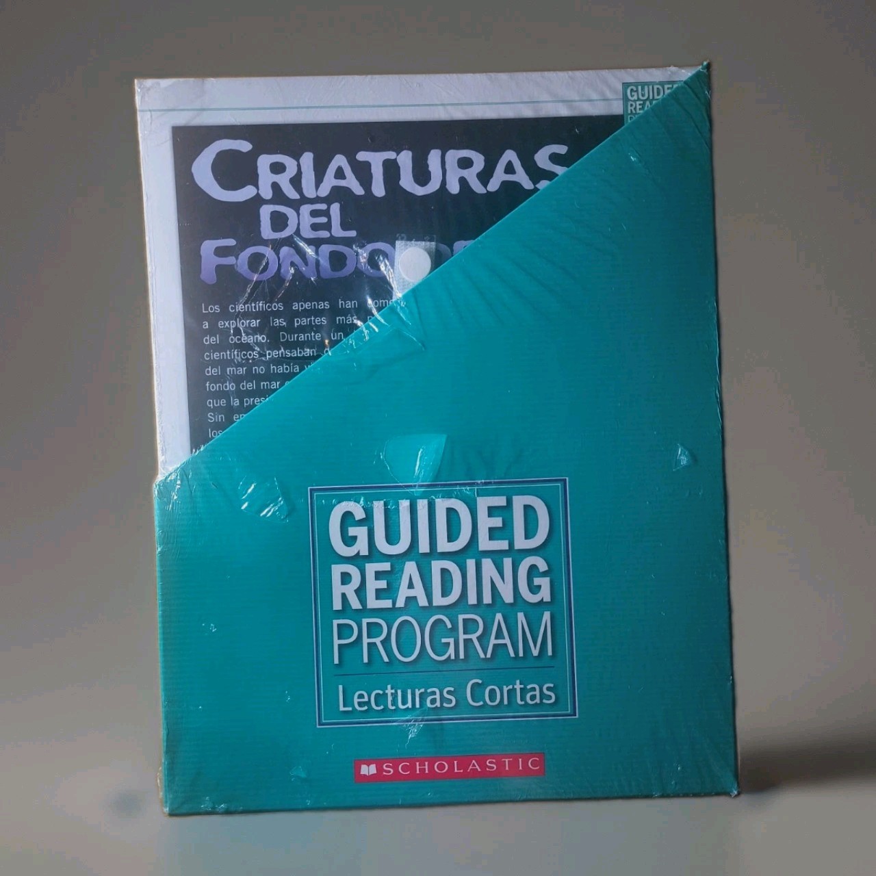 Scholastic includes Spanish-language educational materials Level S