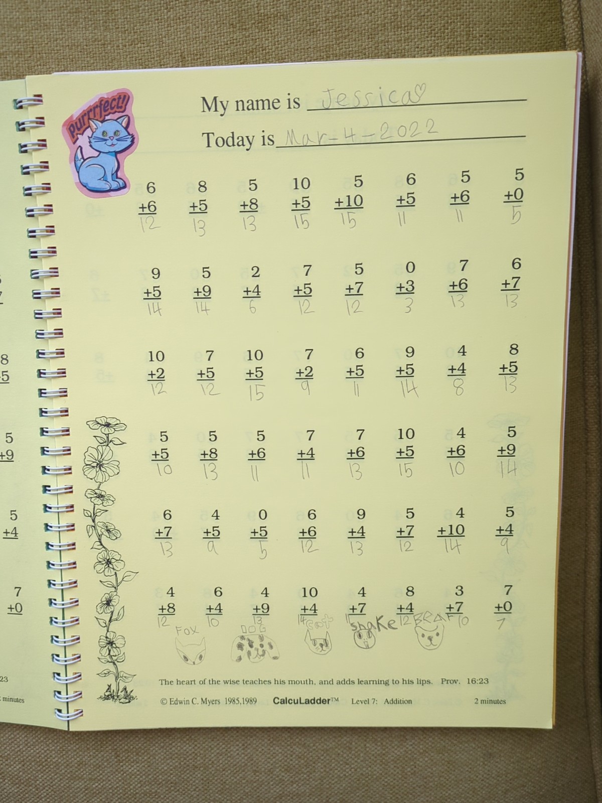 CalcuLadder 1: Basic Addition & Subtraction Classic Homeschool EXC 1 Page Used