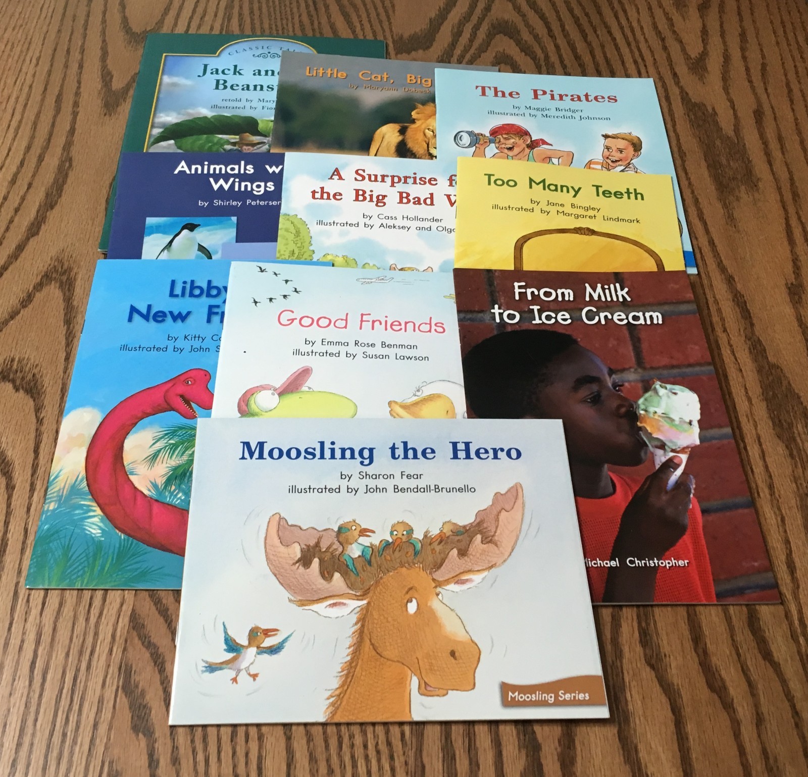 LOT OF 10 LEVELED READERS / FOUNTAS & PINNELL LITERACY / BLUE SYSTEM / LEVEL L