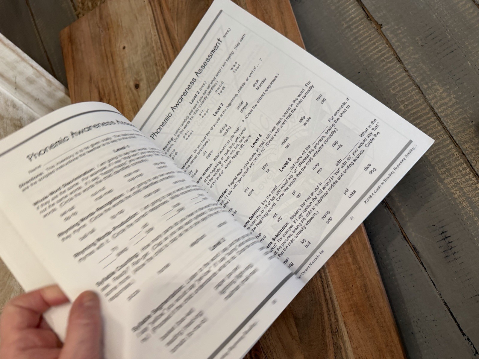 A Guide To Teaching Beginning Reading For Teachers & Parents USA Back to School