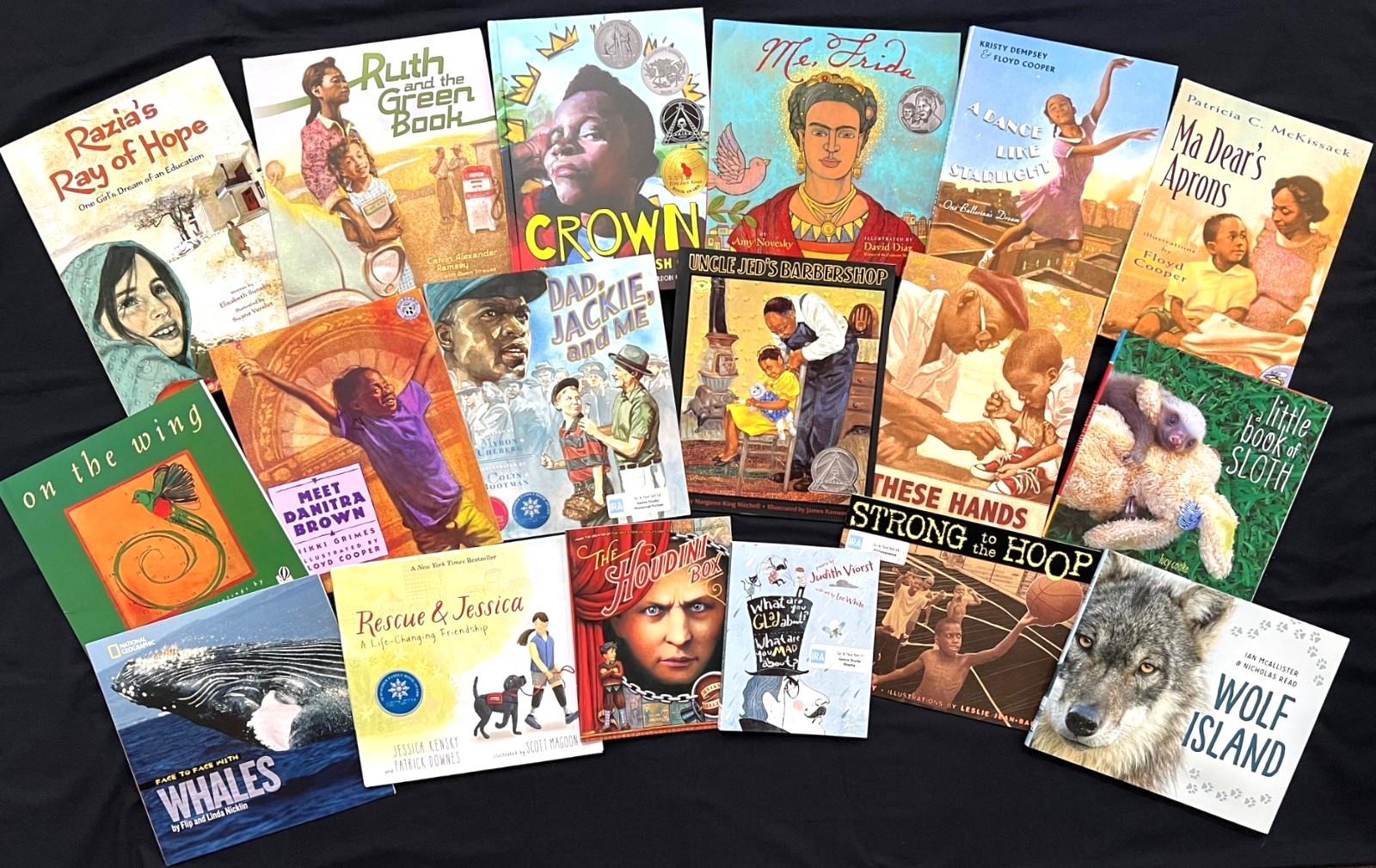 4th Grade – FOUNTAS & PINNELL – Interactive Read-Aloud (18 books) (Sets 7 – 14)