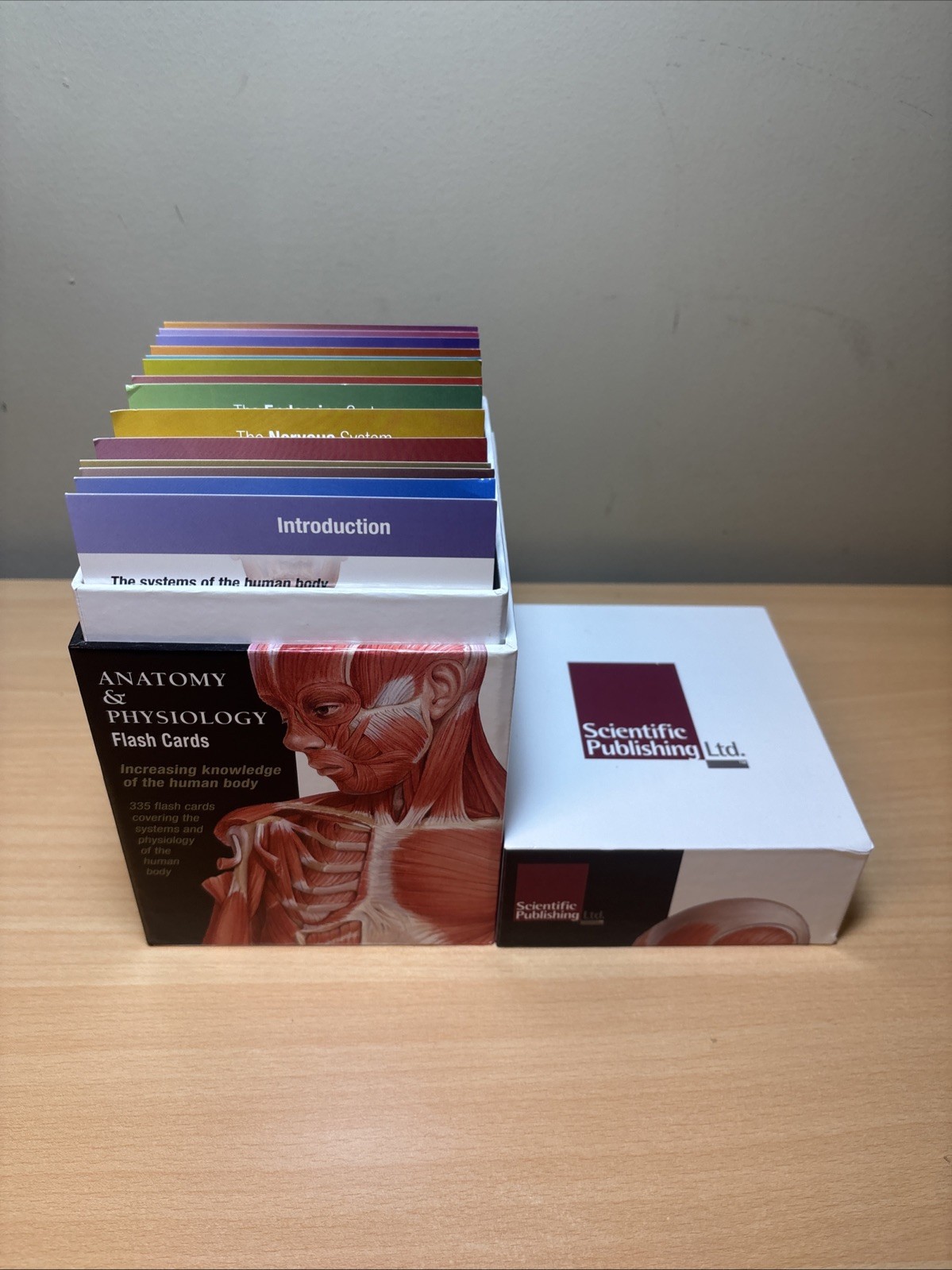 Scientific Publishing Educational Anatomy Flash Cards