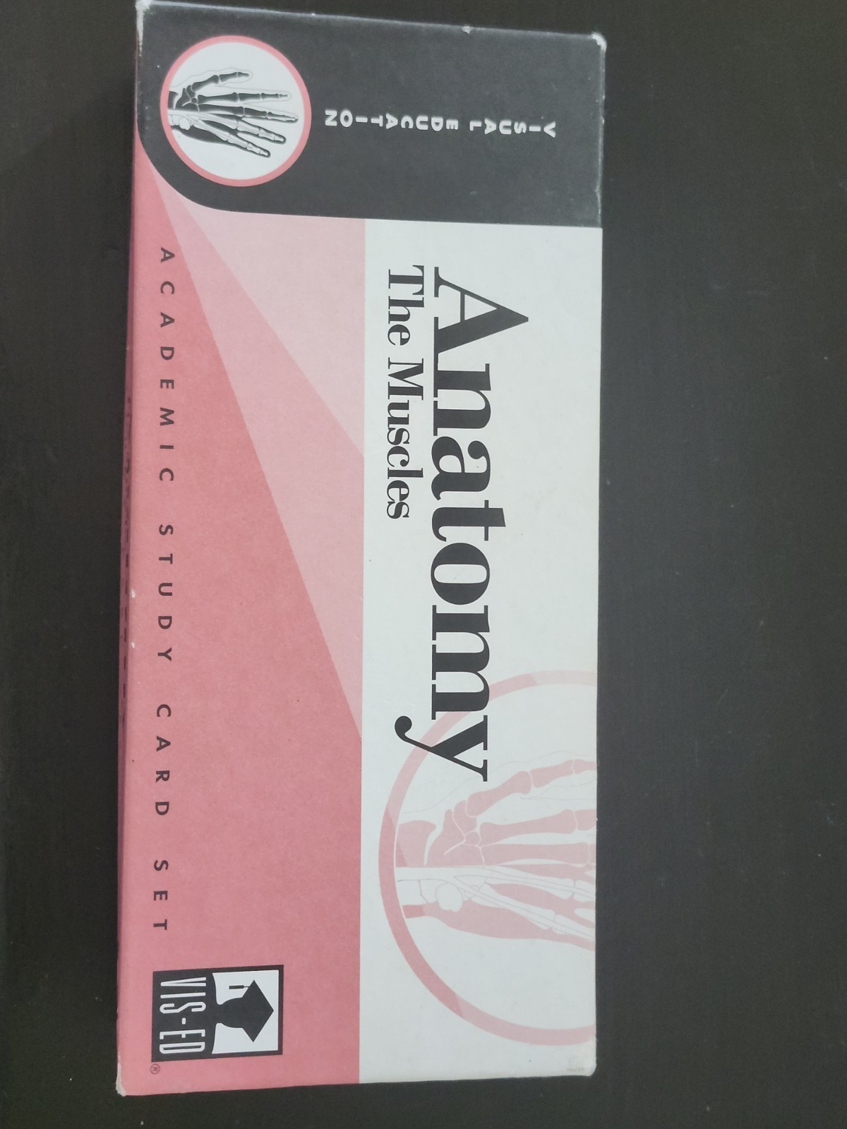 Visual Education Anatomy: The Muscles Flashcards Study Guide Medicine Science