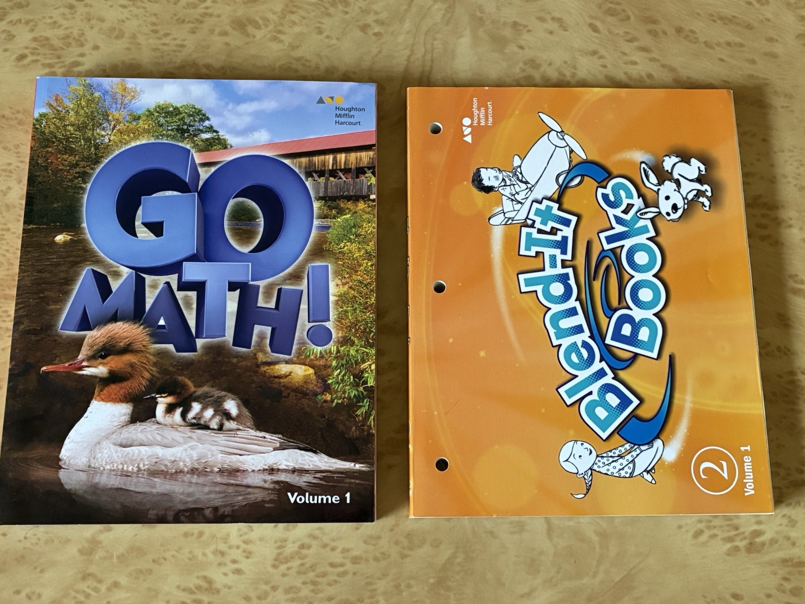 SUMMER SCHOOL ACTIVITIES HMH/Collaborative Classroom Workbooks Lot of 10 – New