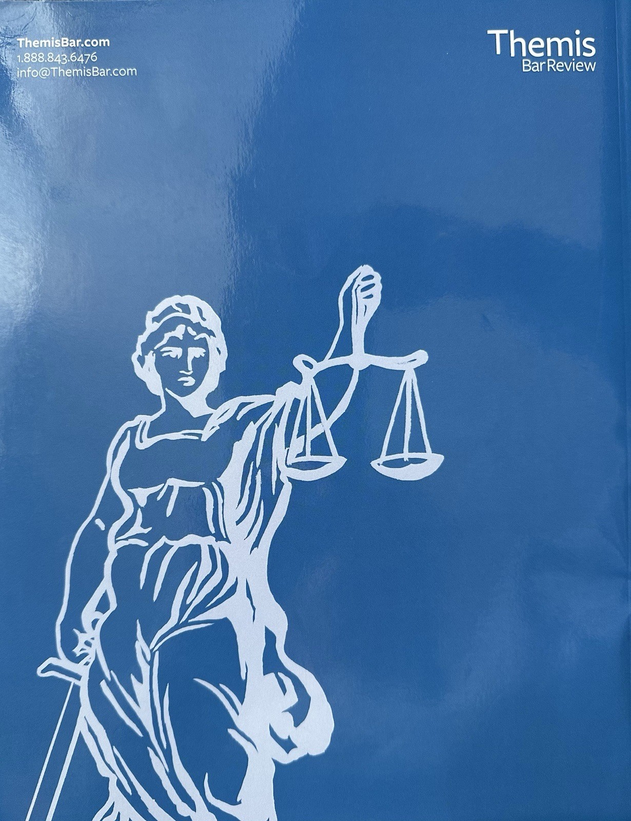 Law School Essentials: Key Concept Sheets 2023 2024 Themis Bar Review VERY GOOD