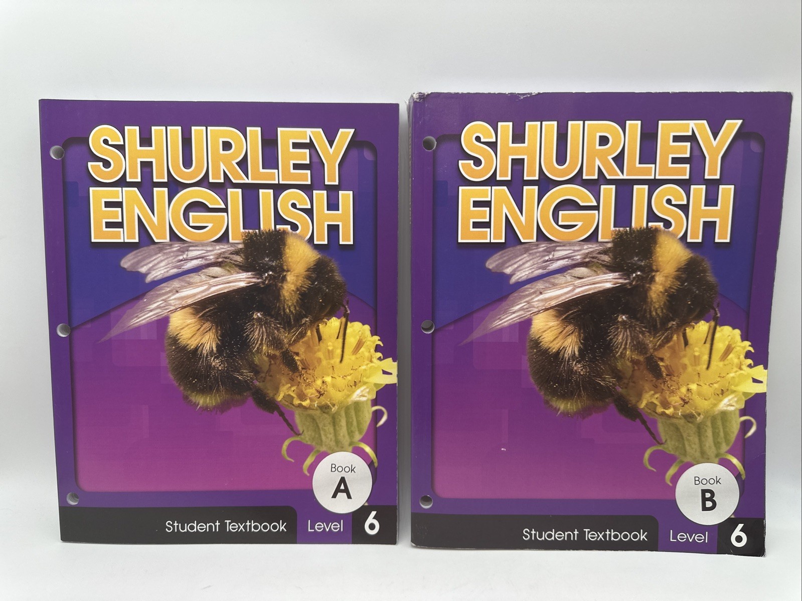 Shurley English Level 6 (2013 Edition) Student Textbook A & B 6th Grade