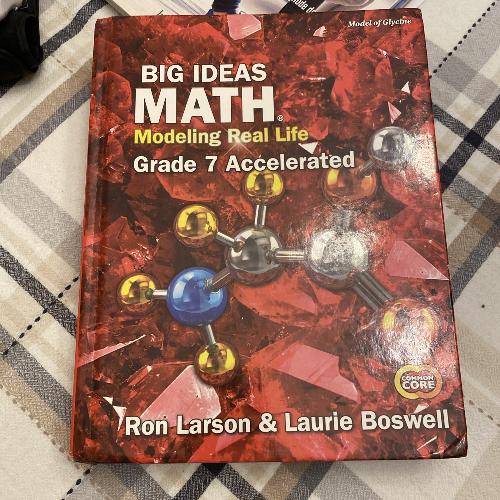 Big Ideas Math Modeling Real Life Grade 7 Accelerated Common Core