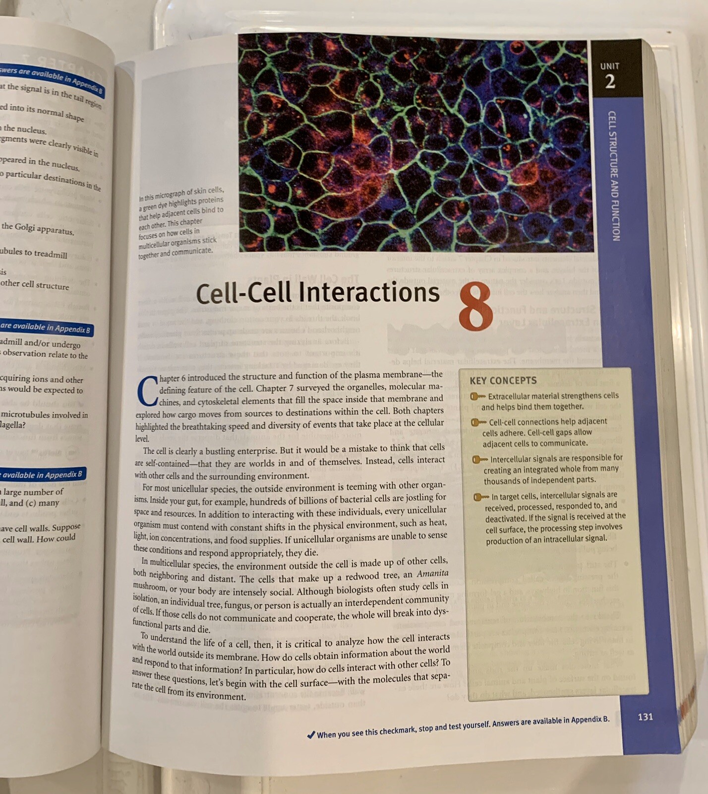 Biological Science Fourth Edition International Edition Scott Freeman