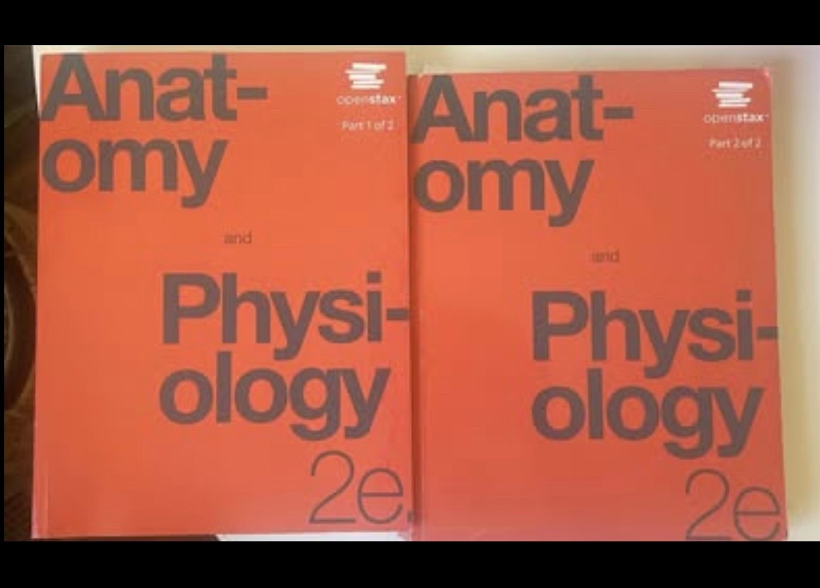 Anatomy and Physiology 2e by OpenStax (Official Print Version, paperback version