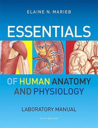 Essentials of Human Anatomy & Physiology Laboratory Manual (5th Edition) – GOOD