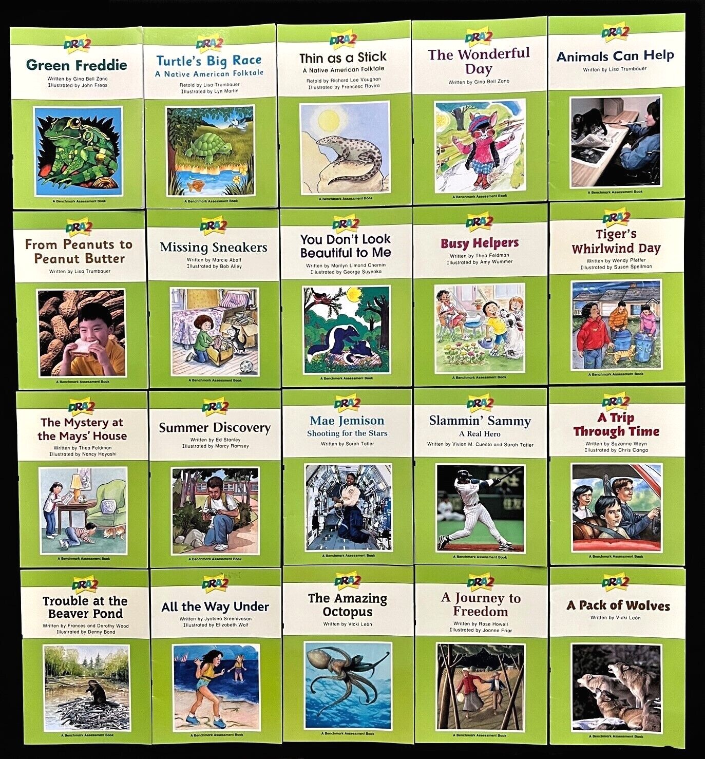 1st – 4th Grades – DRA2 (Developmental Reading Assessment) – SET of 20 READERS