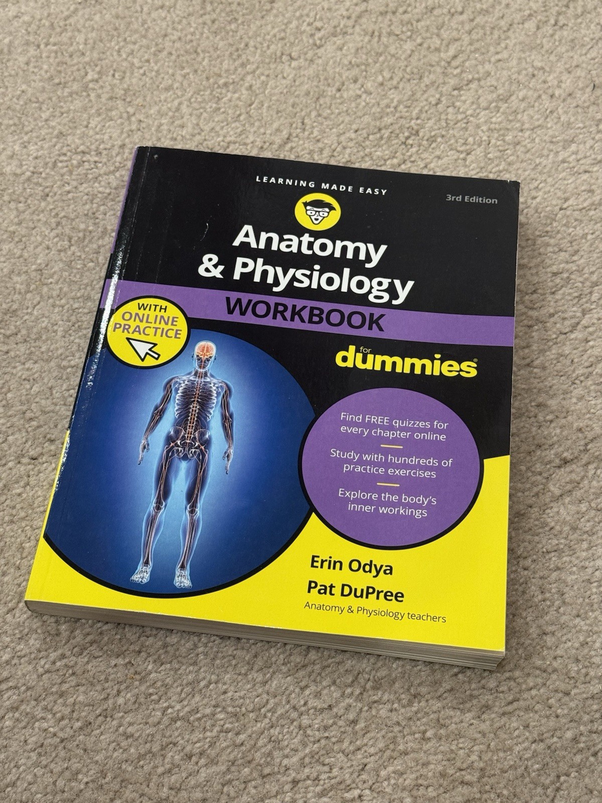 Anatomy And Physiology Workbook For Dummies w/ Online Practice – GOOD