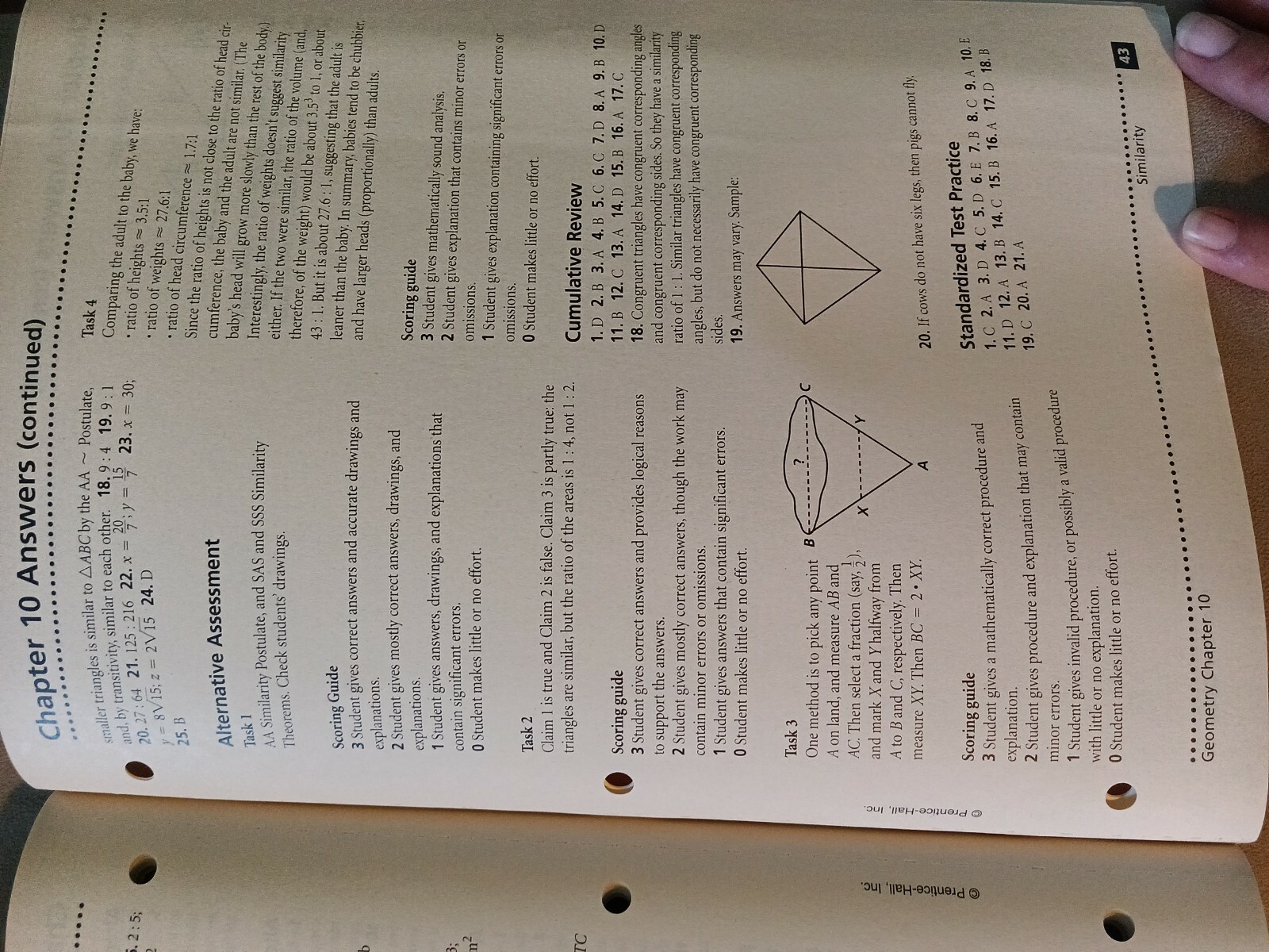 Chapter 10 Support File Geometry Prentice Hall Educational Study Material