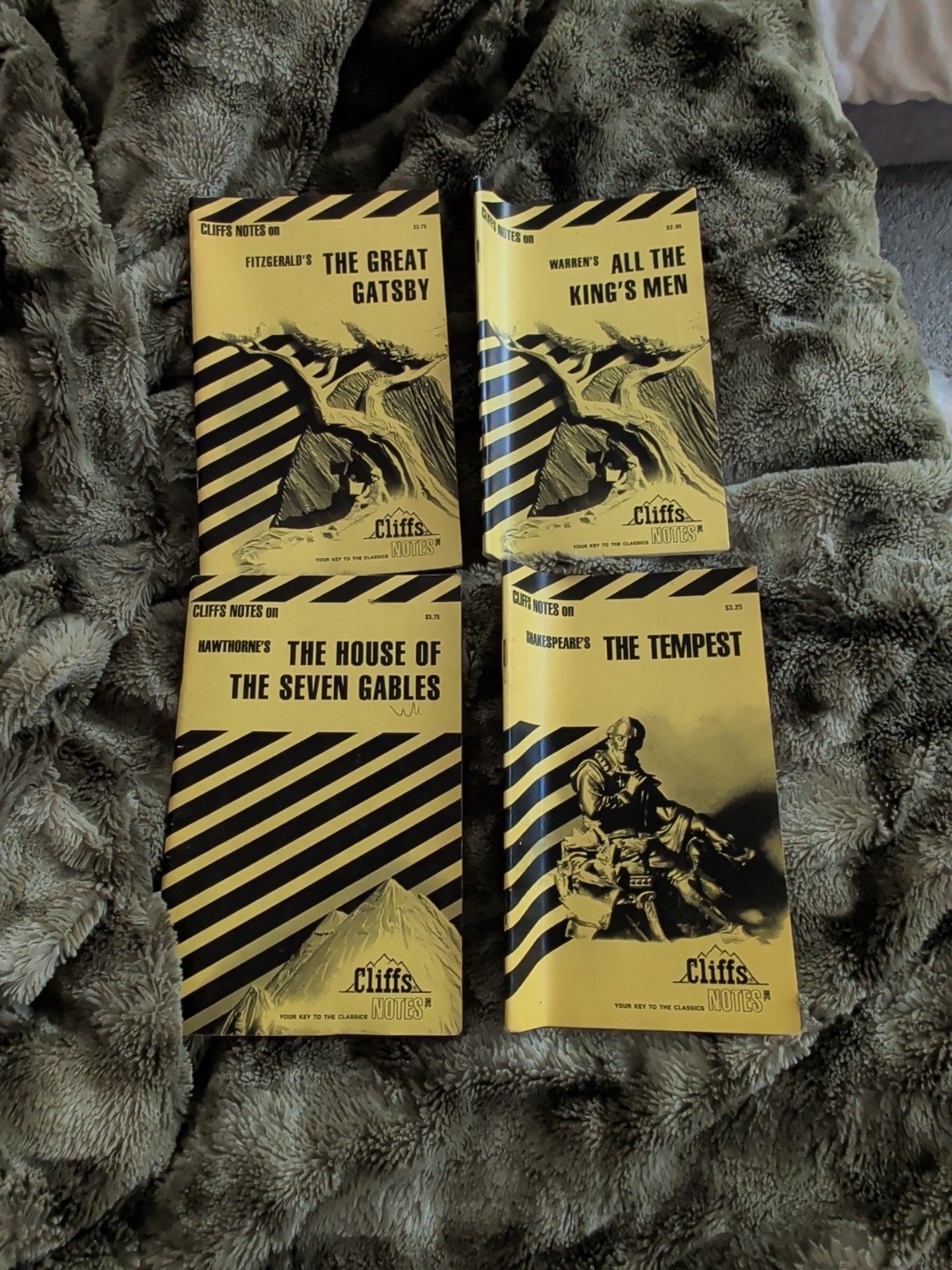 CLIFFS NOTES Lot of 6 FITZGERALD WARREN HAWTHORNE SHAKESPEARE GOLDINGS CONRADS