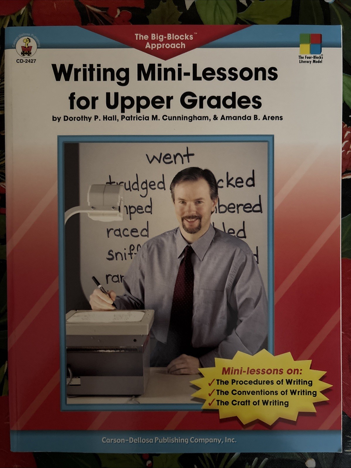 Writing Mini-lessons for Upper Grades, 4 Blocks Literacy Model -EUC