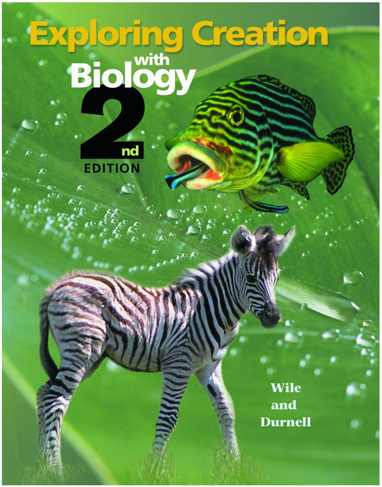 Exploring Creation with Biology 2nd Ed. by Wile & Durnell – Hole in spine – NEW