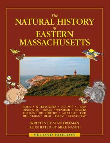 The Natural History of Eastern Massachusetts – Second edition by Stan Freeman