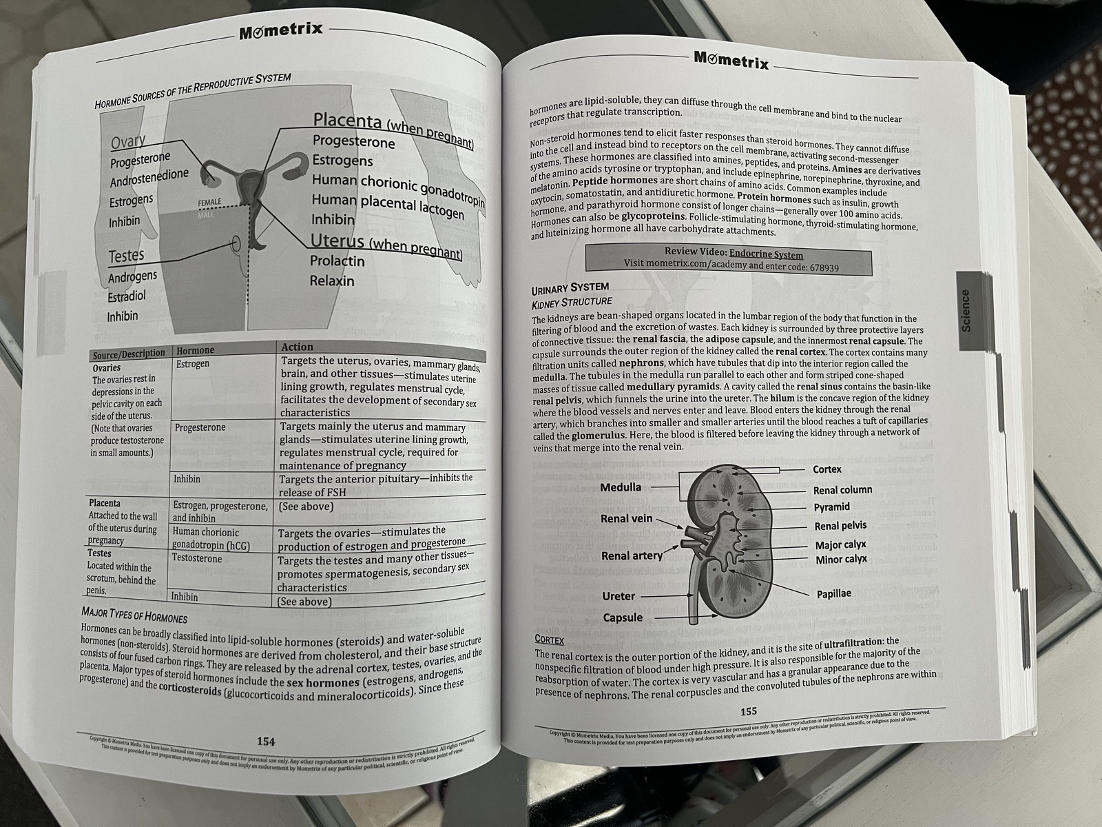 ATI TEAS 7 Secrets Study Guide