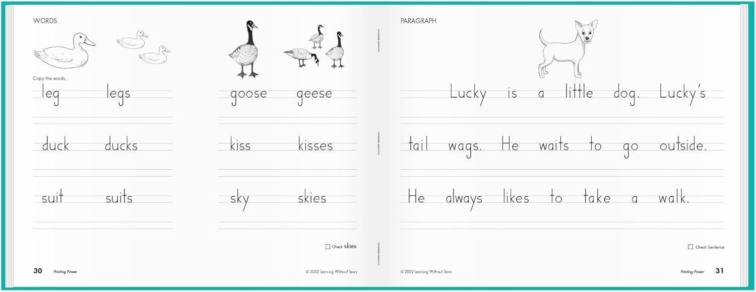 Learning without Tears, Age 7+, 2Nd Grade+, Handwriting Practice, Writing Book