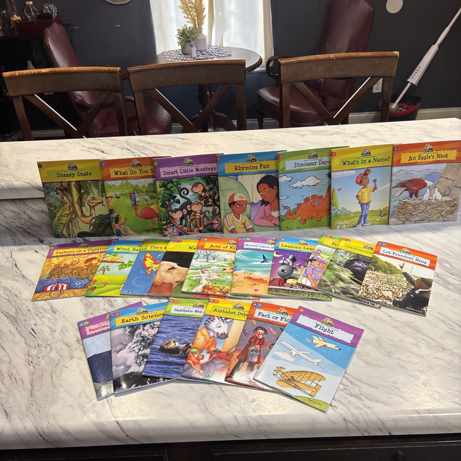 Grade 1 Read well Book Set 1-38 minus book 9