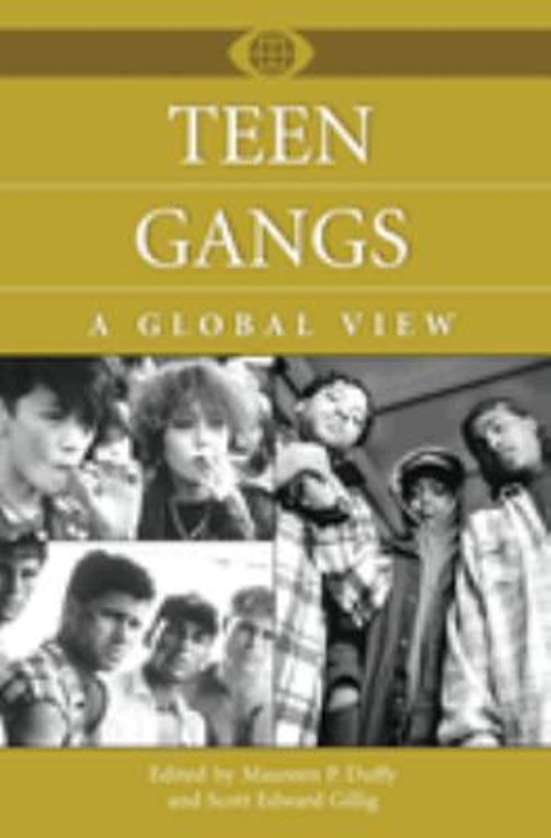 Teen Gangs : A Global View Hardcover