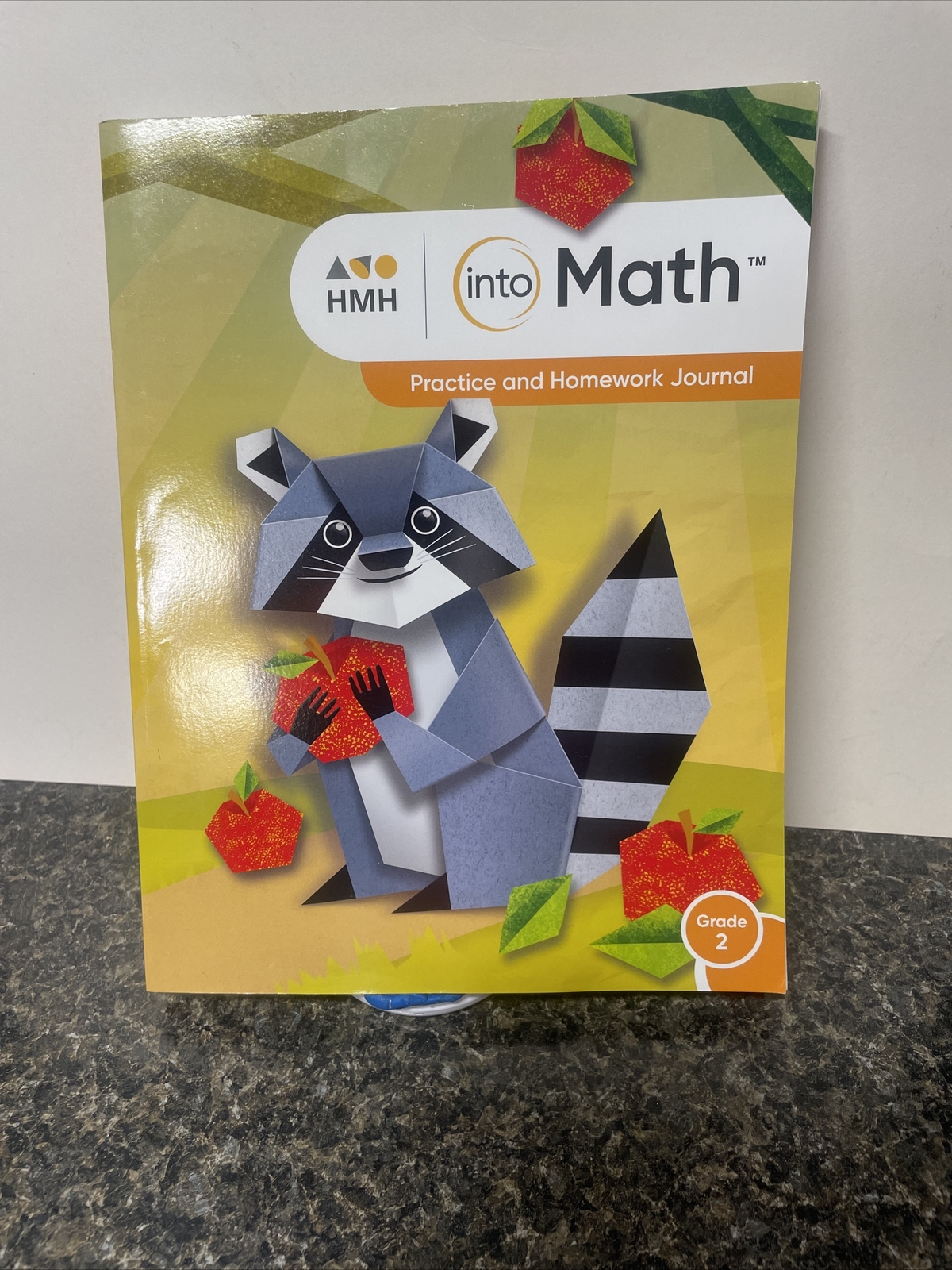 HMH: into Math Practice and Homework Journal Grade 2 – Paperback –