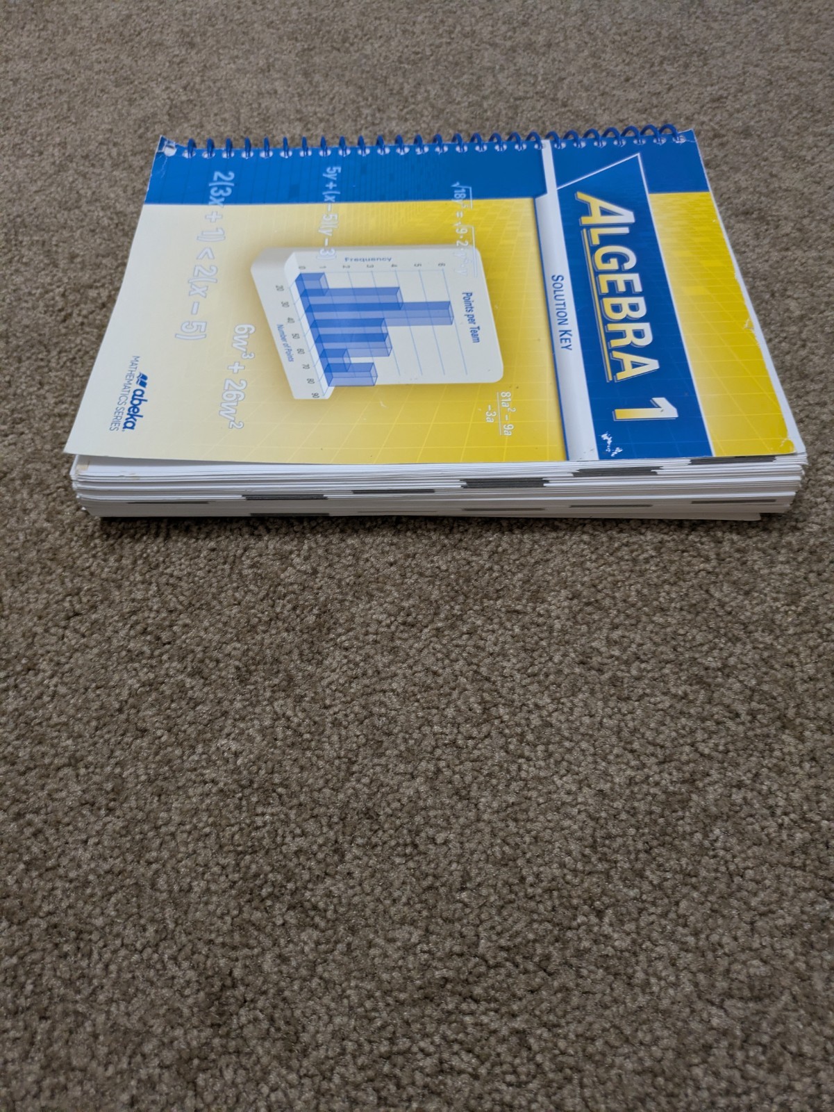 Abeka Algebra 1 Solution Key Homeschooling Teacher Manual 9th Grade
