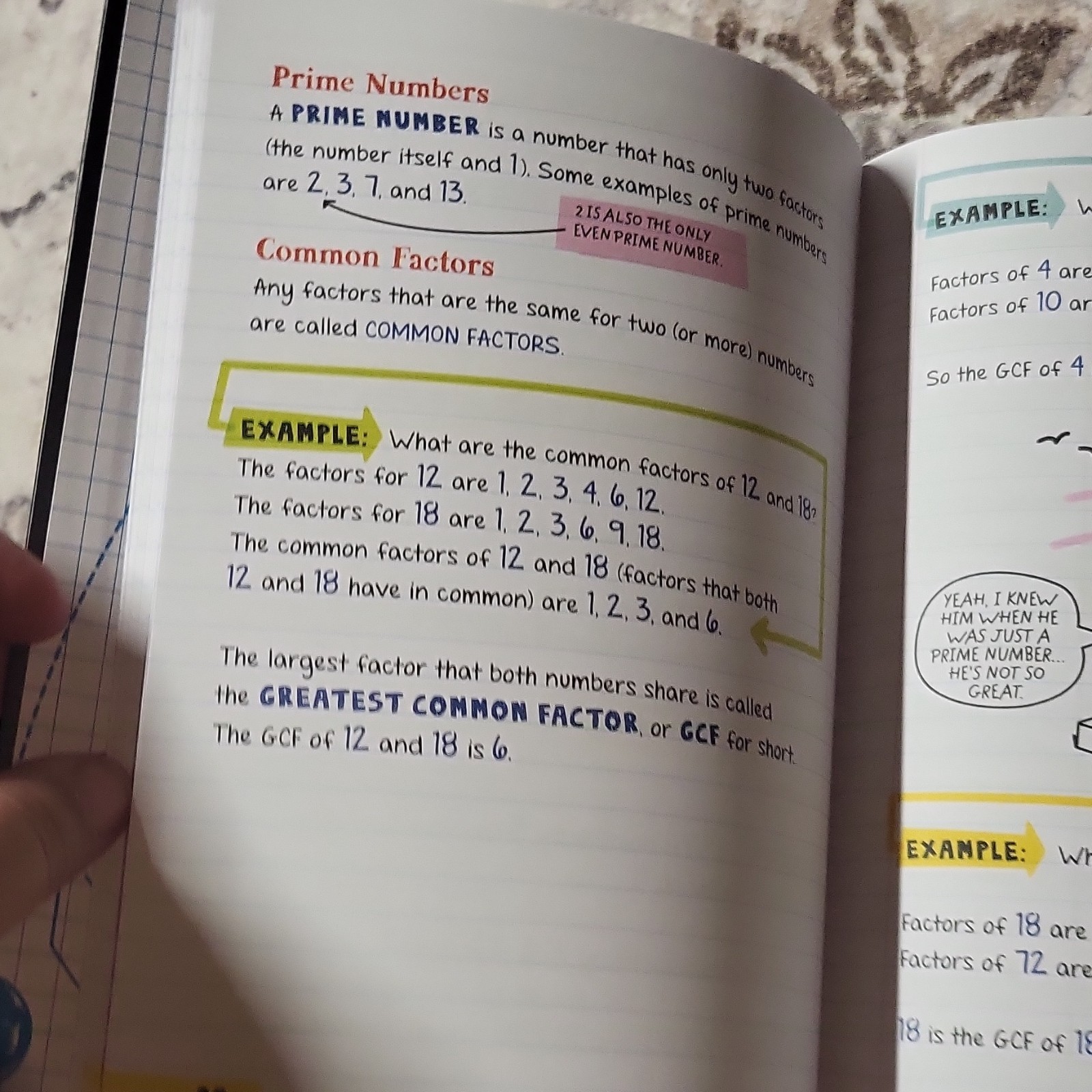 Workman Big Fat Notebook Ace Math Middle School Study Guide PB 2016 544p Illus