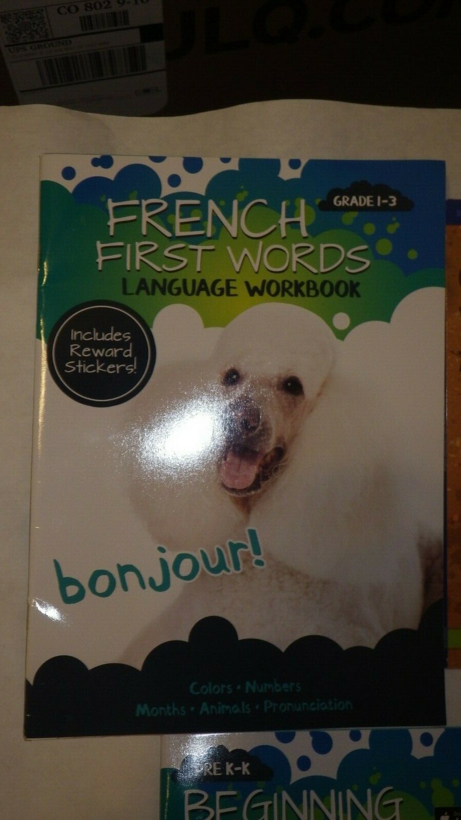 Beginning Reader Pack-5 Books-Slimy Slugs, French, Animals, Coding and Sounds