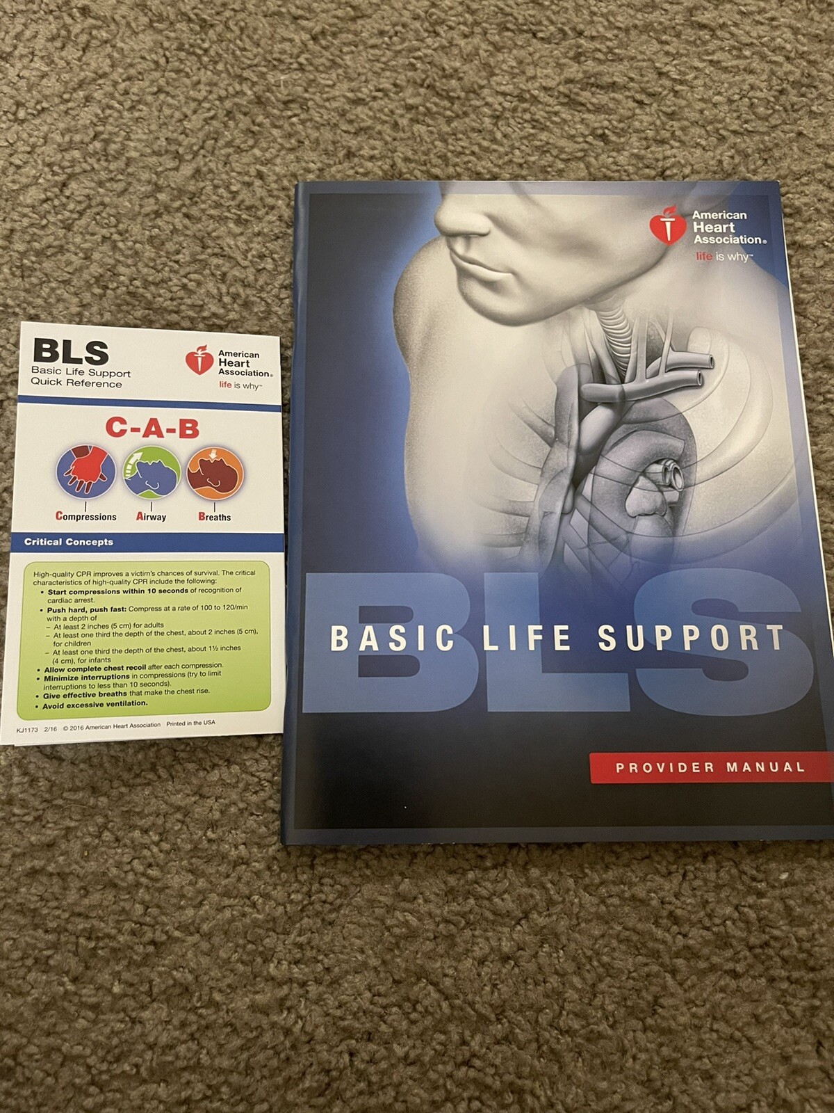 basic life support provider manual American Health Association