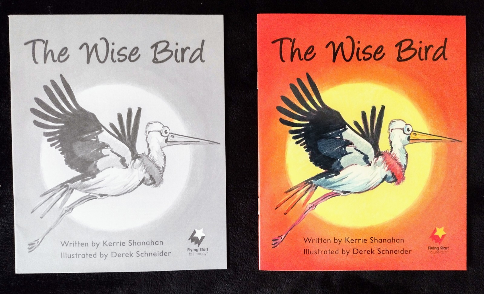 Flying Start To Literacy MultiPack Monsoon Rain /The Wise Bird (2017,Paperback)