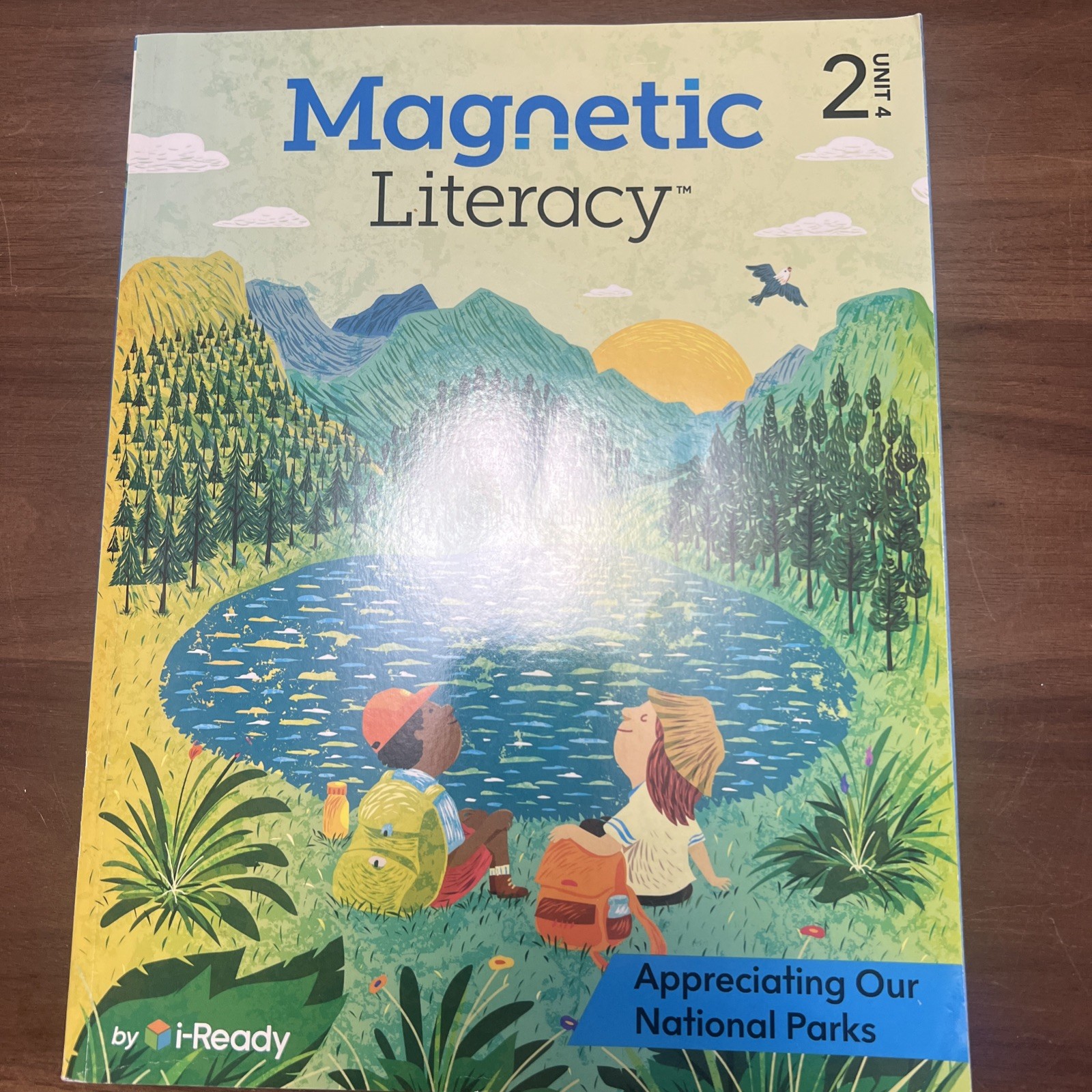Magnetic Literacy, Grade 2, Unit 4