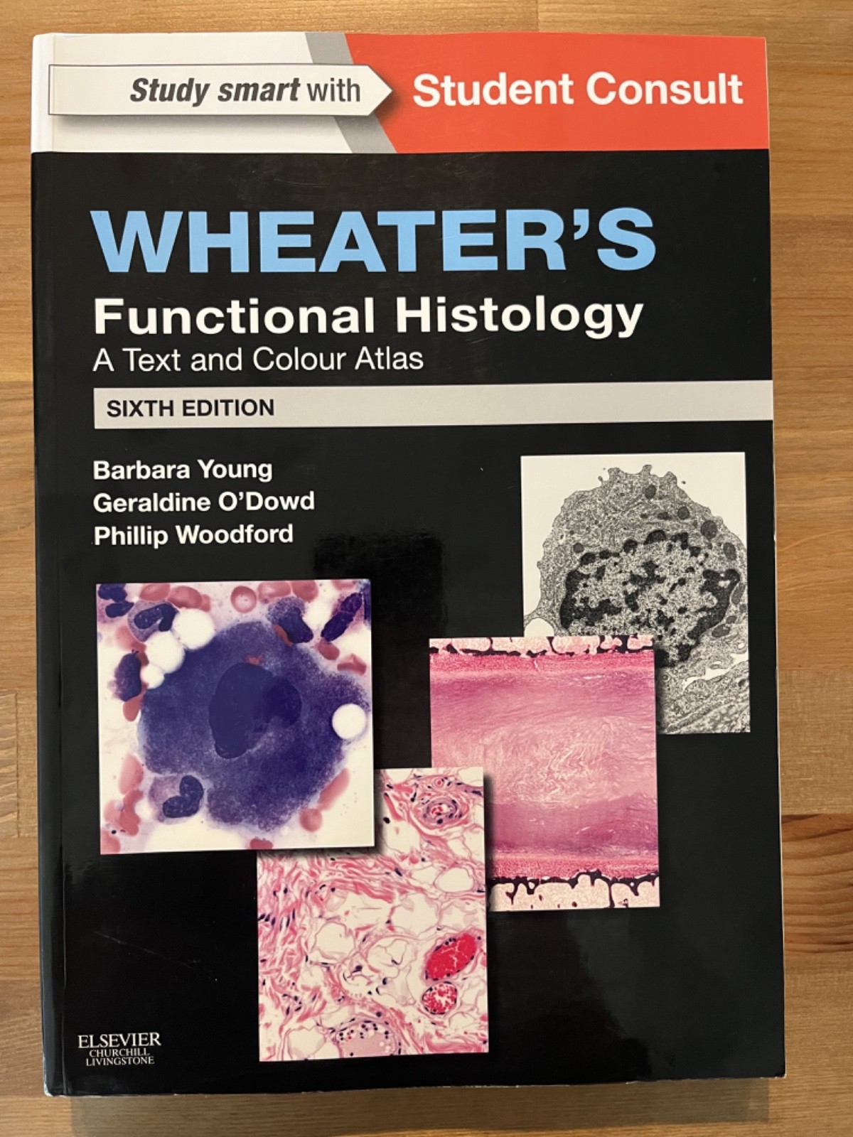 Wheaters Functional Histology 6th Edition