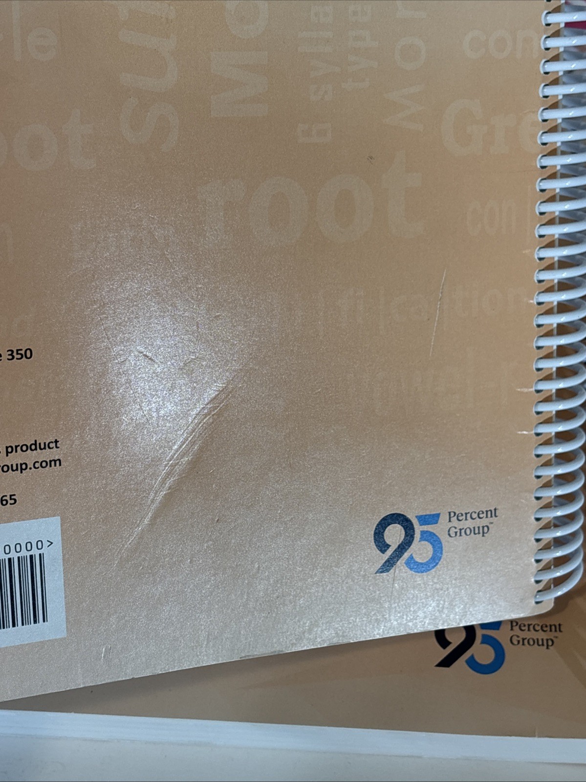 95 Percent Group 95 Phonics Core Program Teacher’s Edition Grade 5 Set 3-Volume