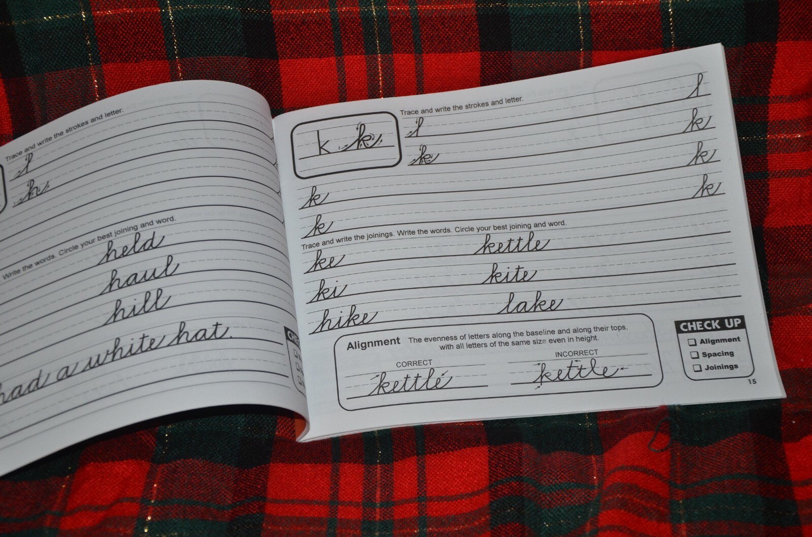 Beginning Cursive Writing handwriting workbook, Thomas M Wasylyk