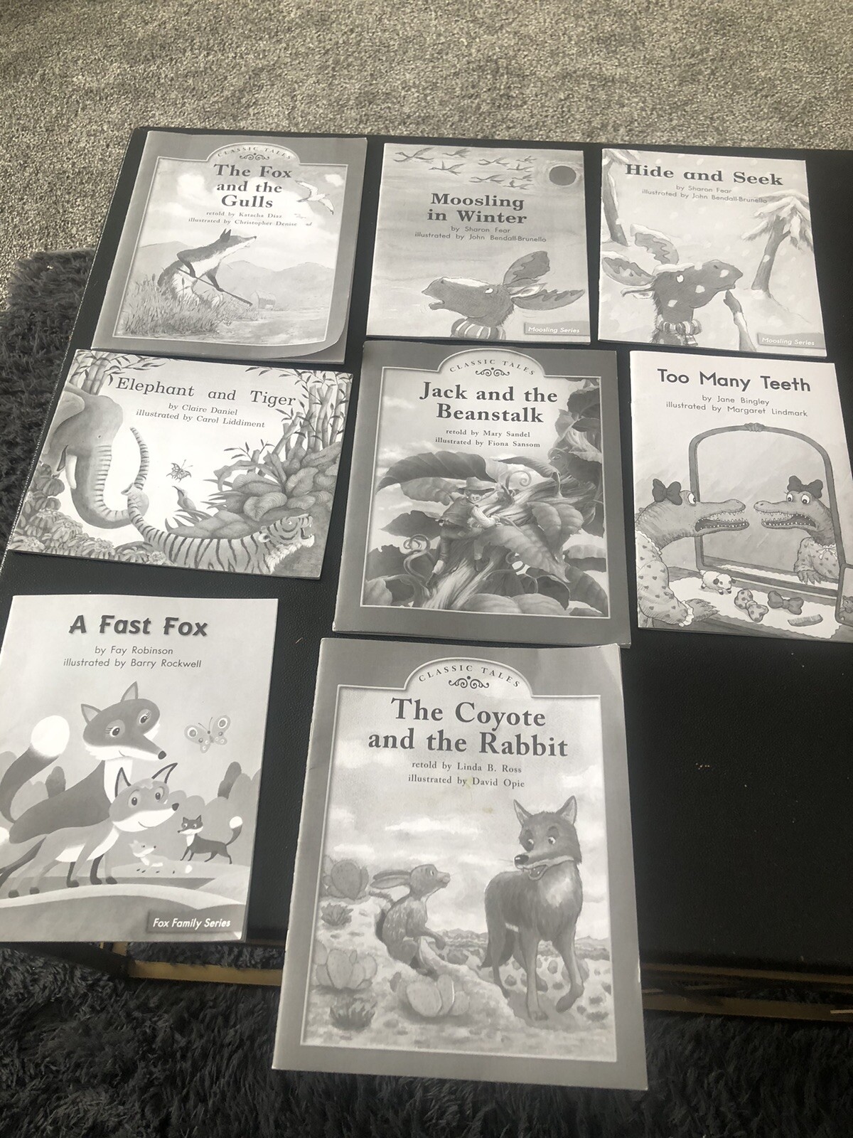 Heinemann Fountas & Pinnell Various Leveled Literacy Intervention Readers Lot 8