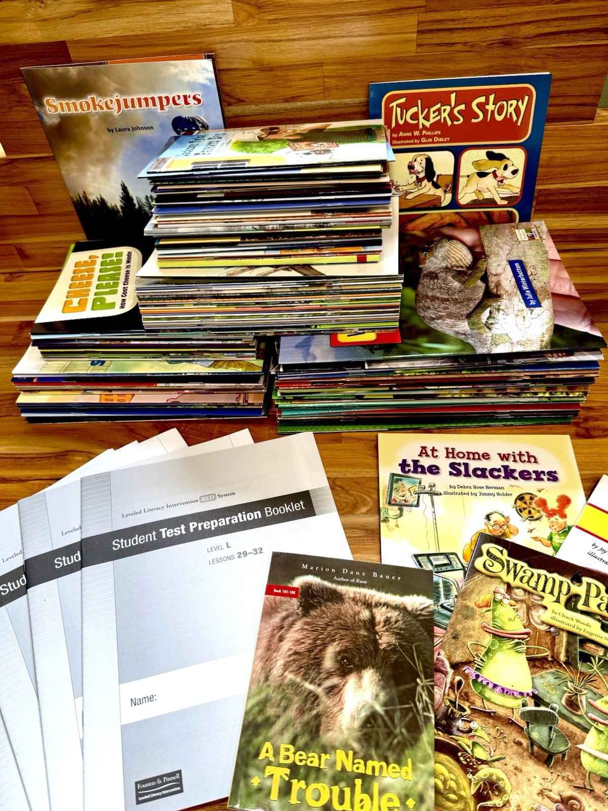 FOUNTAS & PINNELL 3rd Grade Red LLI Leveled Readers Full 150 Book Set Levels L-Q