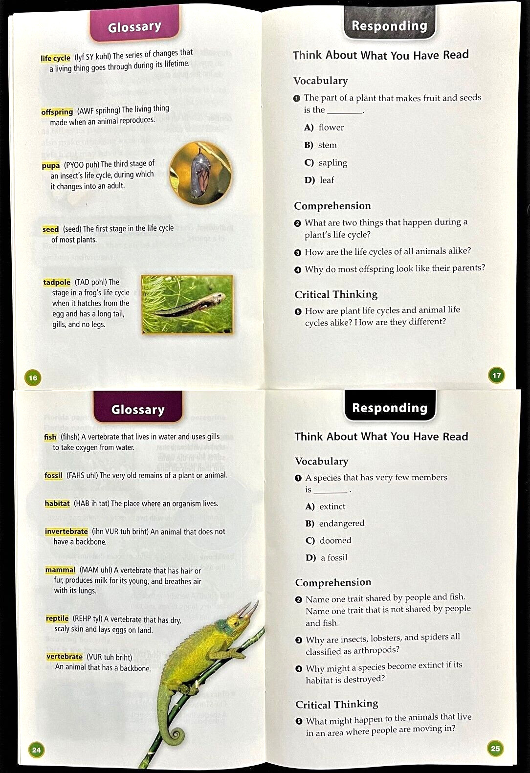3rd – 4th Grade – SCIENCE SUPPORT READERS (6 books) (2006, Houghton Mifflin)