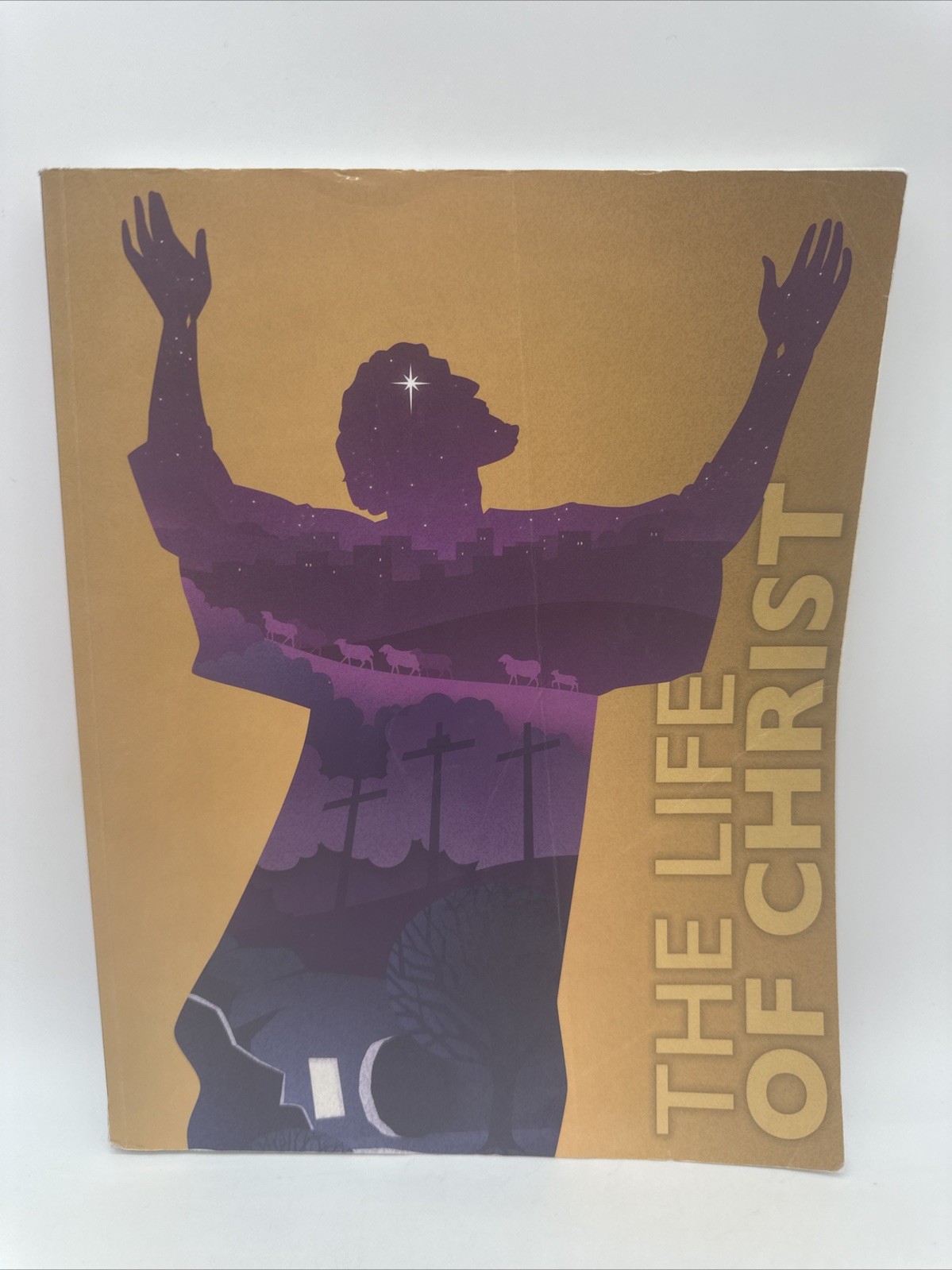 Bob Jones Life of Christ Student Text- 8th Grade Bible