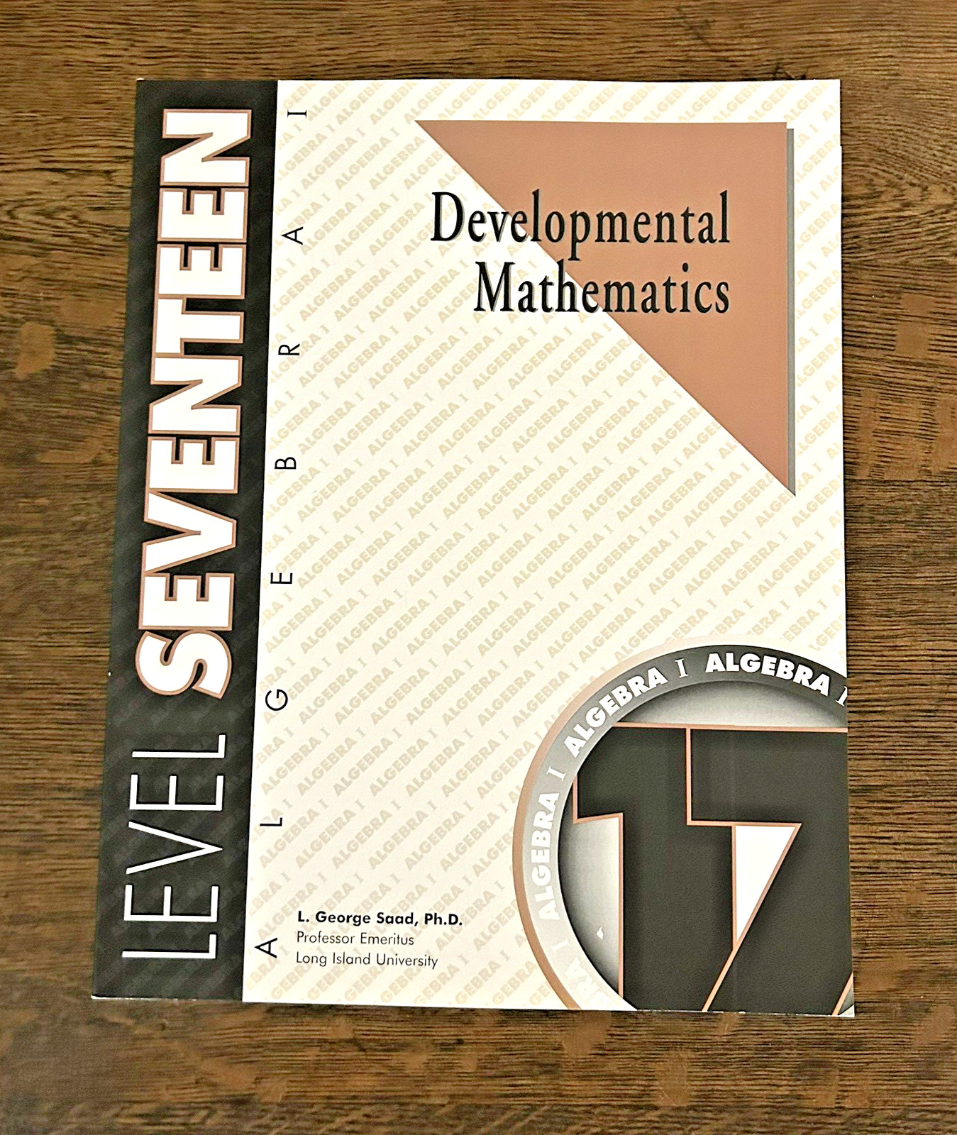 Algebra I Developmental Math Home Summer School Student Workbook & Test NEW