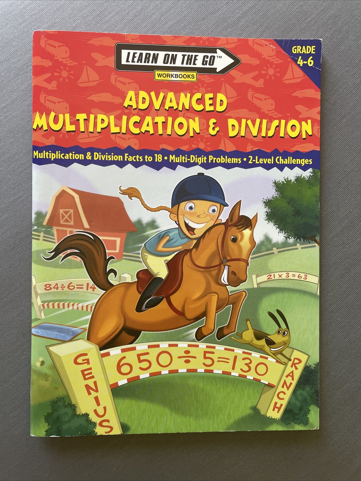 Learn on the GO Workbooks Advanced Multiplication & Division Grade 4-6