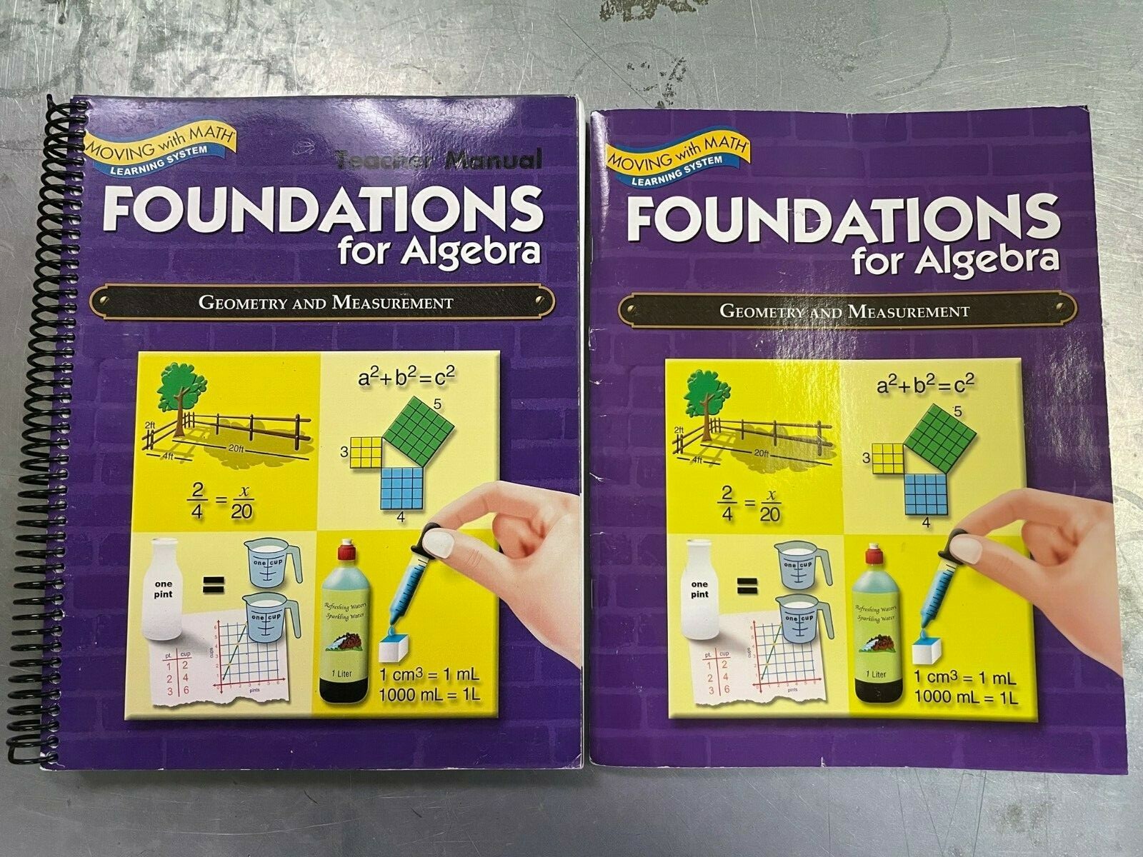 Foundations for Algebra-Geometry & Measurement Grade 7-8+-Teacher Man&Student Bk