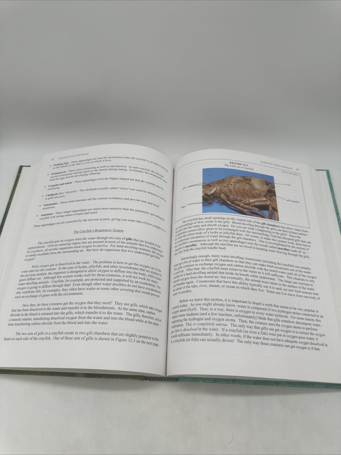 Apologia Exploring Creation Biology Textbook, Solutions & Tests (2nd Edition)
